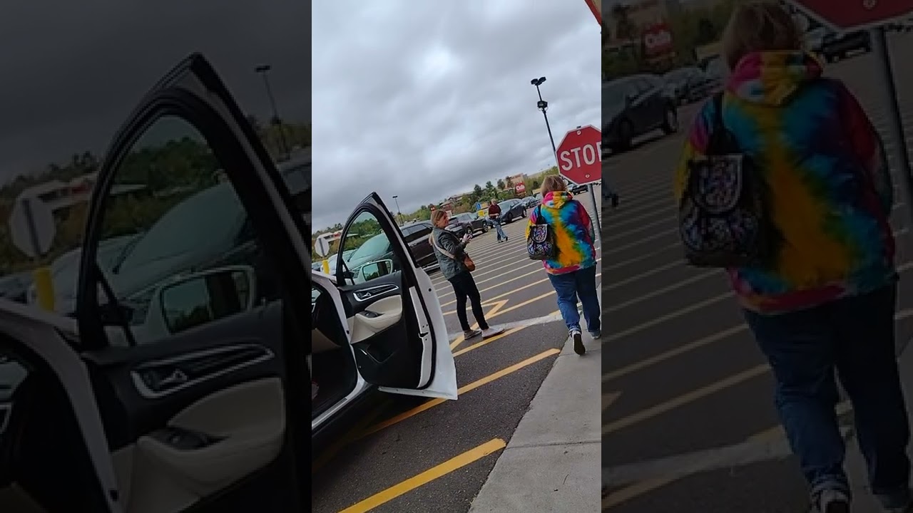 CYBERTORTURE CRIMINAL SYSTEMATIC ORGANIZED ZERSETZUNG COLOR ANCHOR SENSITIZATION