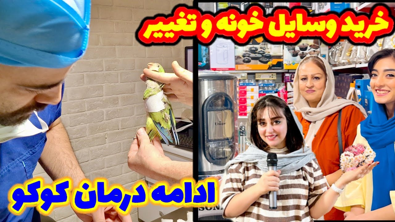 خرید لوازم خانه و آشپزخانه و تعویض پانسمان کوکو توسط پزشک / گویندگی و دوبلاژ ریحانه