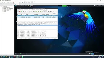 Lab 1.2 Perform a DHCP Starvation Attack using Yersinia