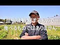 コオロギは絶対に食べたくありません! 2023/02