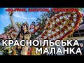 Красноїльська Маланка: «50 грам, закусон, уважение» | Hromadske.doc