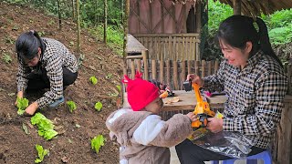 Download Lagu The single mother went to the market to buy vegetable seeds to expand her vegetable garden. MP3