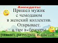 Пришел мужик с чемоданом в женский коллектив... Подборка смешных жизненных анекдотов