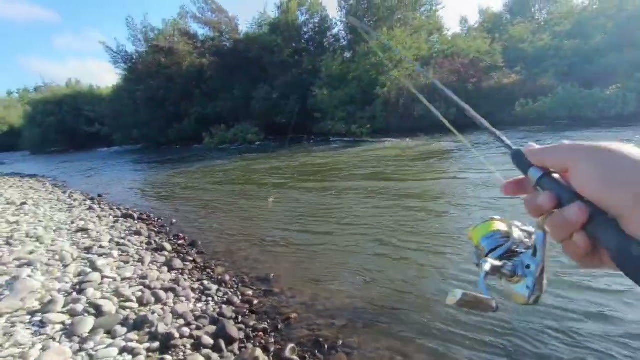 Pesca en solitario ( Rio cautin )