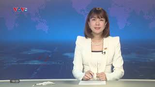 VOVTV News 247