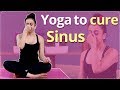 YOGA TO CURE SINUS & COLD | HOW TO CURE SINUS | HOW TO TREAT COLD | Simple Yoga Lessons