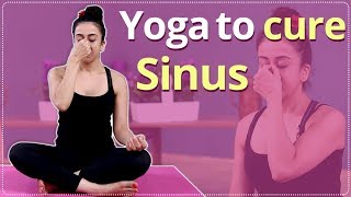 YOGA TO CURE SINUS & COLD | HOW TO CURE SINUS | HOW TO TREAT COLD | Simple Yoga Lessons screenshot 3