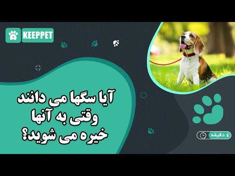 تصویری: آیا انسان می تواند خیره شود؟