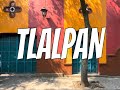 Que HACER en TLALPAN