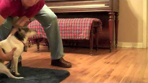 Counterconditioning: What You Condition is What You Get