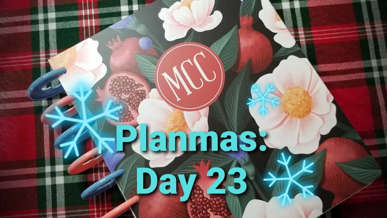 Planmas Day 23 Plum Paper Black Friday Haul YouTube