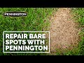 Pennington one step complete  repair bare spots in 2 weeks or less