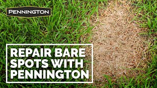 Get your lawn ready for any occasion. pennington one step complete has
all you need to patch bare spots quickly: wood mulch, fertilizer, and
seed. be sure to...