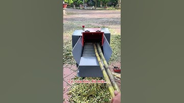 Máy băm cỏ có băng tải cấp liệu tự động, năng suất 1,5 tấn mỗi giờ mà chỉ dùng điện 220V