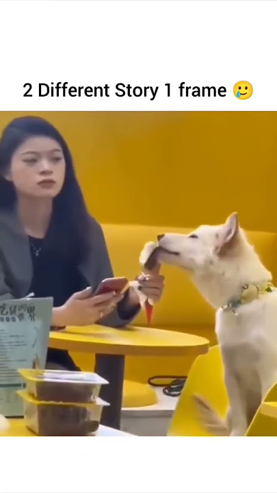 2 different story 1 frame 😭🤣#funnyvideo #funny #familyhumor #couple #single #love