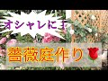 【薔薇庭作り11】