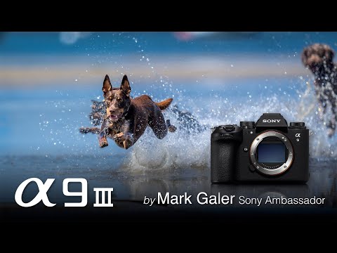 Sony Alpha 9III Action Sequence: Hi Drive Mode