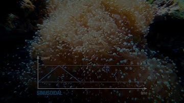 Official SICCE XSTREAM SDC Video-CONTRALL App: Flow patterns PRESET and CUSTOM programs_Tutorial 03