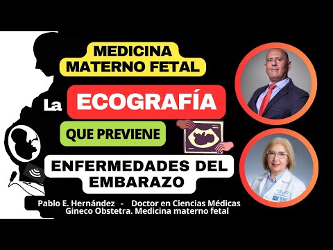 LA ECOGRAFÍA QUE