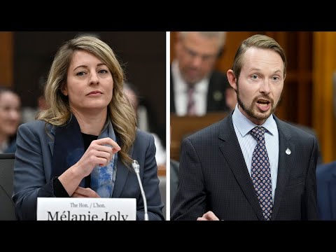 'Can I finish?' | Mélanie Joly has tense exchange with MP Michael Cooper