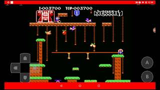 Donkey Kong JR./ Longplay#8/ Parte 1