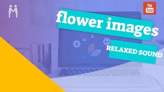 FLOWER IMAGES + POSITIVE ENERGY MUSIC screenshot 2