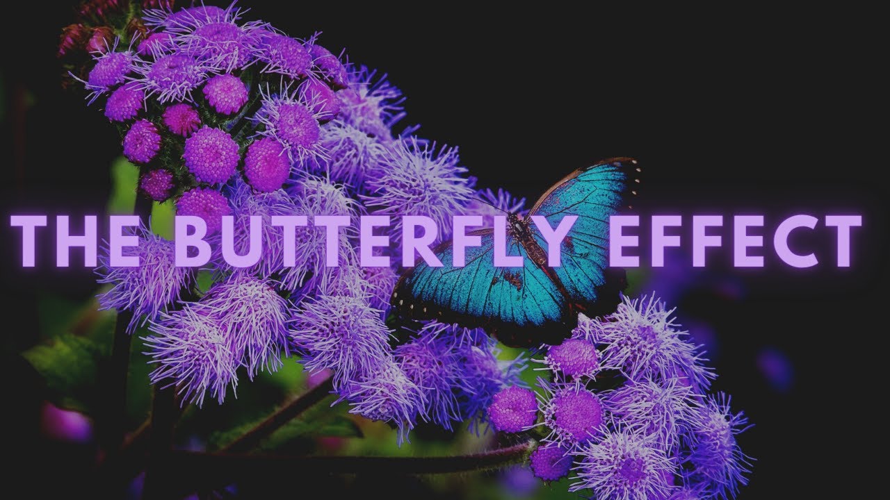 The Butterfly Effect Explained // Determinism and The Chaos Theory ...