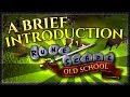 A Noob's Guide to Old School RuneScape