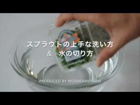 スプラウトの洗い方 水の切り方 Youtube