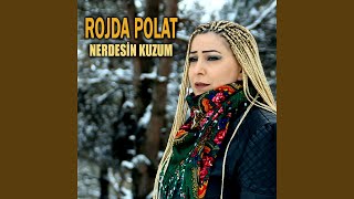 Baklava Dilim Dilim Resimi