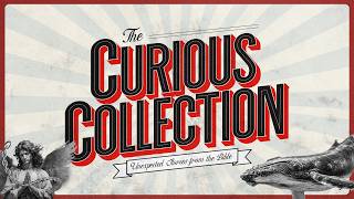 The Curious Collection | Week 1 | Message
