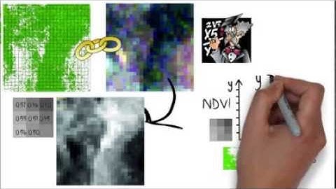 Quantitative Remote Sensing Theory