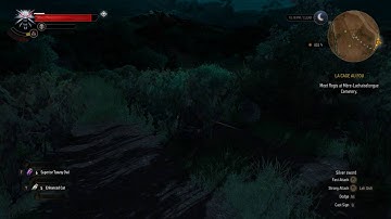 Testing the new Shadowplay/GeForce Experience on The Witcher 3