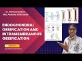 Endochondral &amp; Intramembranous Ossification | Bone Formation Explained