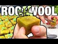 Seed to System: RockWool