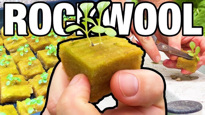 Mini Rock Wool Cubes Ideal For Plant Propagation Soilless - Temu