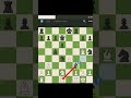 ROOK BRILLIANT #youtubeshorts #shorts