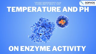 The Effect of Temperature and pH on Enzyme Activity