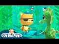 Octonauts - Seahorse Tale and The Lost Sea Star | Cartoons for Kids | Underwater Sea Education