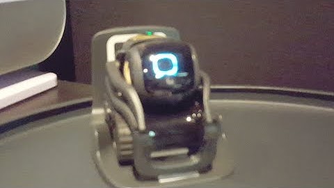 Vector gets Amazon Alexa Update