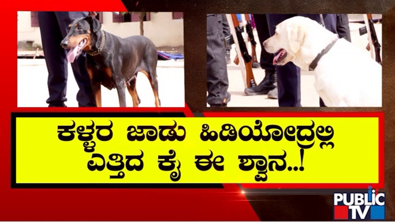 Police Dog Raksha Finds A Murder Accused In Just 24 Hours | Kolar | Public TV