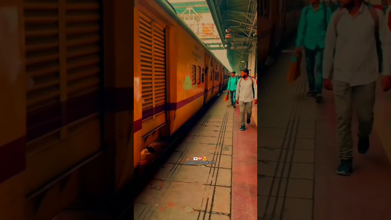 sayari and rules l song and rules l 