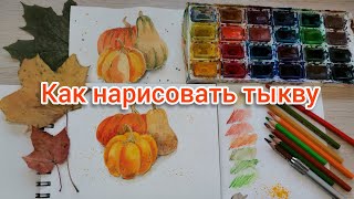 картинка: Как нарисовать тыкву. Акварельный скетч.
