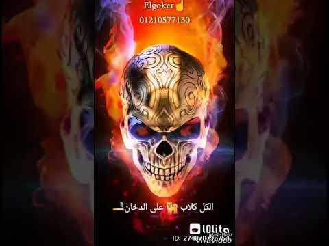 مهرجان مين جدع مفيش جدعان 