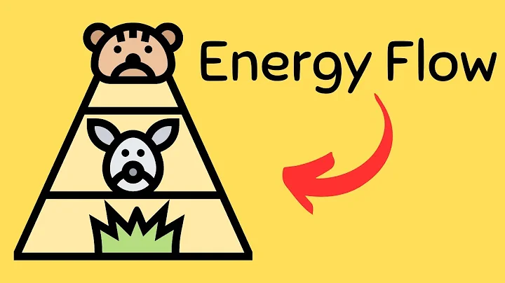 Energy flow in an ecosystem  | Trophic Levels |