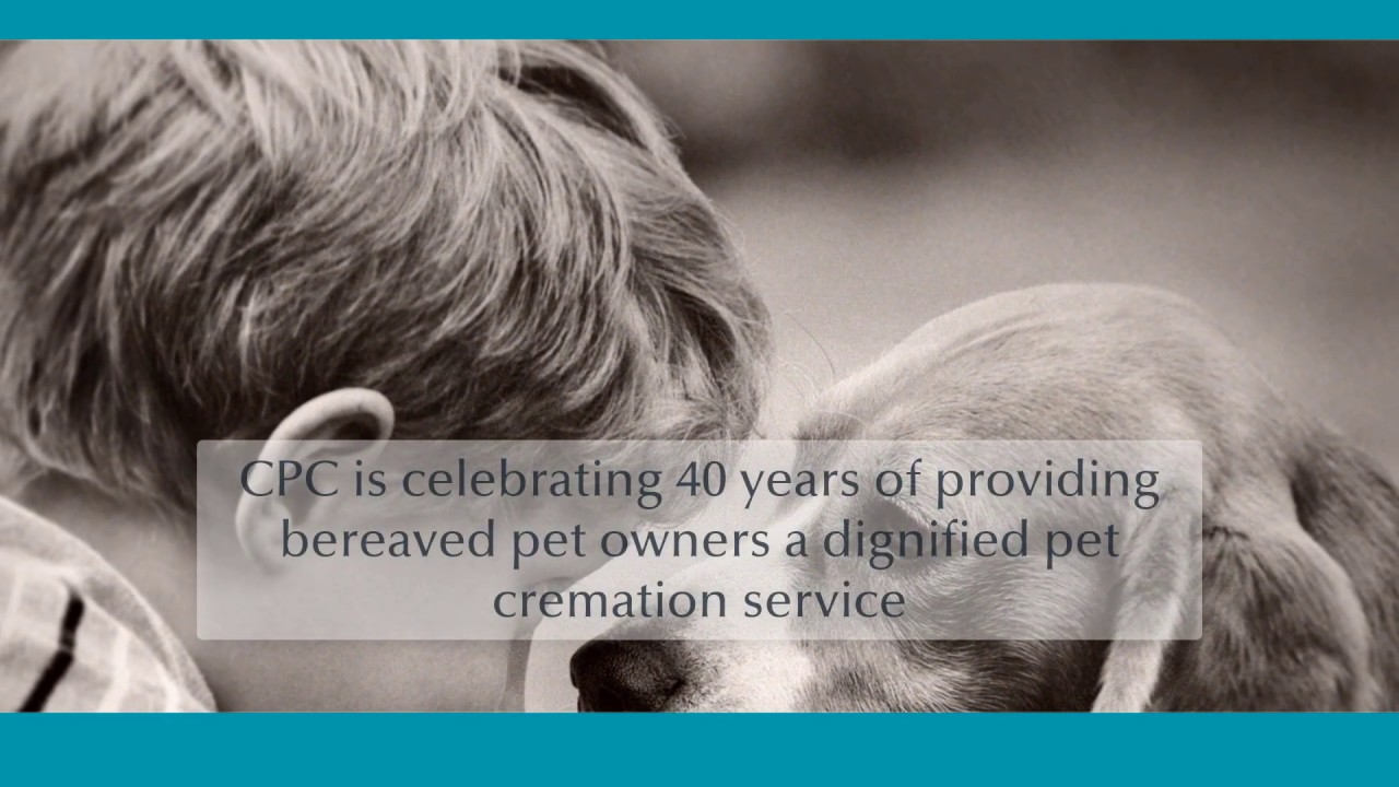 pdsa cremation cambridge