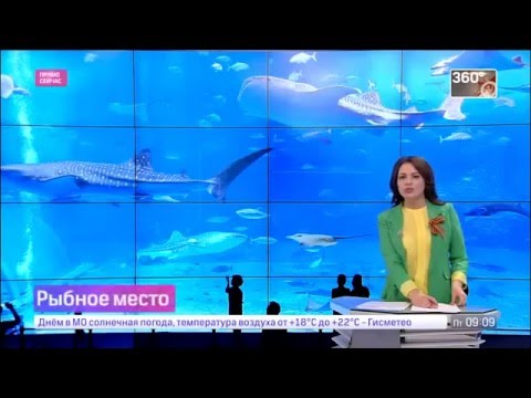В Красногорске построят океанариум. (Телеканал 360)