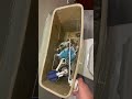 2010s western pottery tank view flush