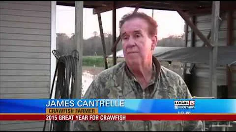 2015 Great Year for Crawfish