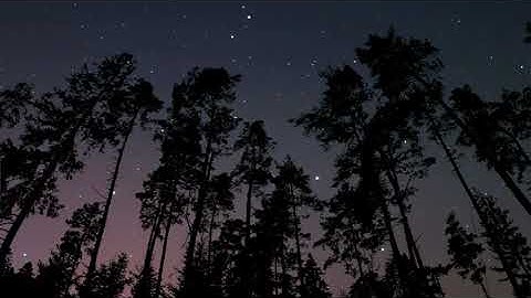 Thumbnail of The Hip Abduction - "Pacific Coast Highway"